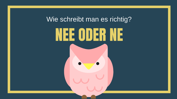 Begriffserklärungen, Abkürzungen, Websprache › Was heißt